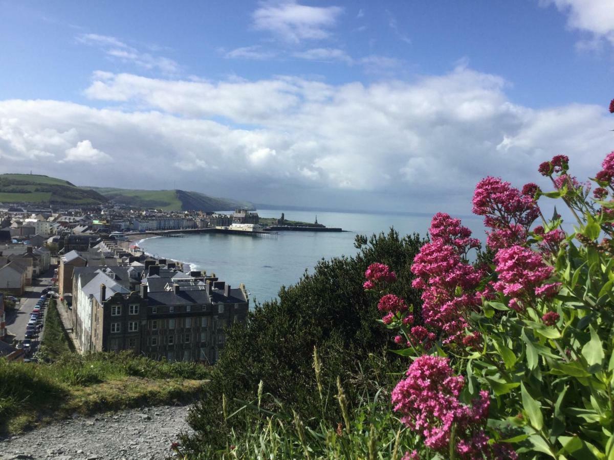 Celtic Bay Guest House Aberystwyth Zewnętrze zdjęcie